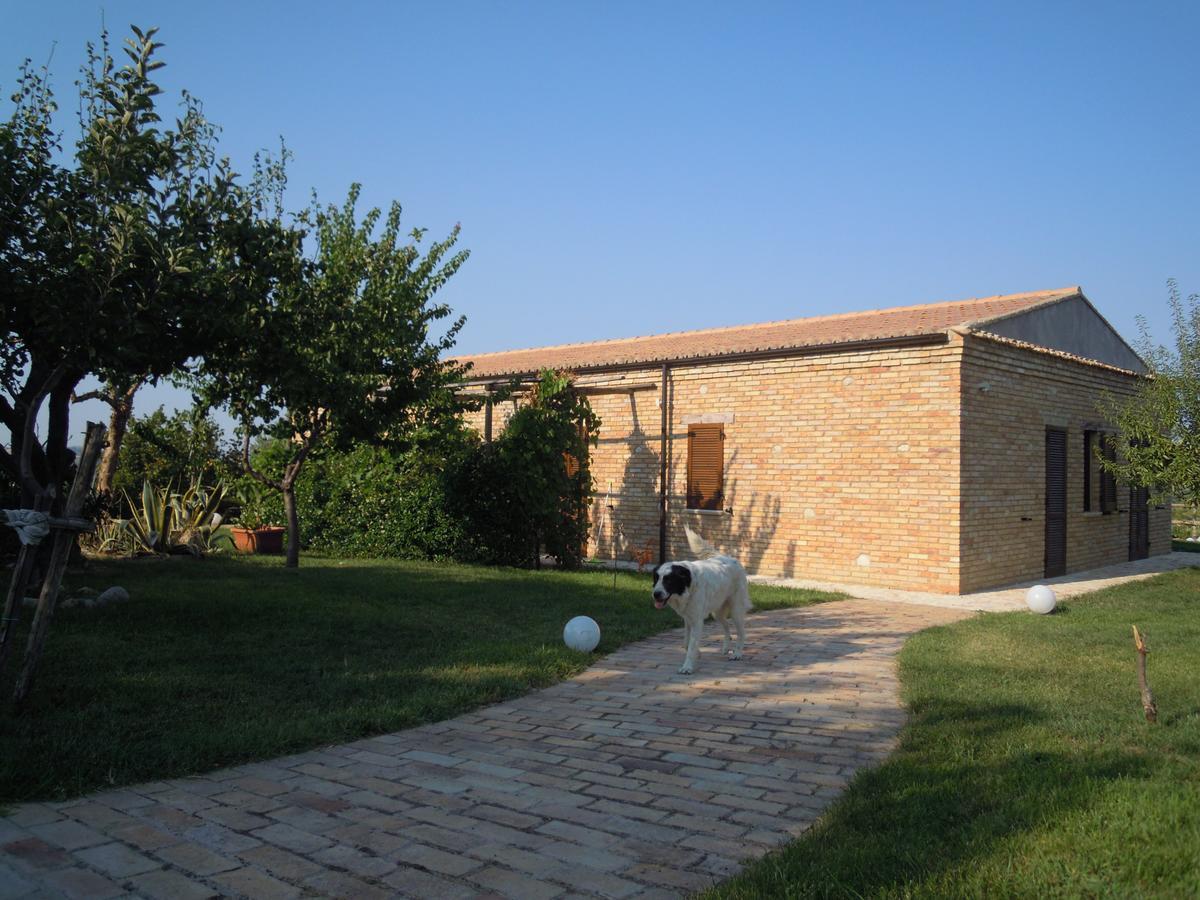 Agriturismo Piccolo Albero Loreto Aprutino Dış mekan fotoğraf